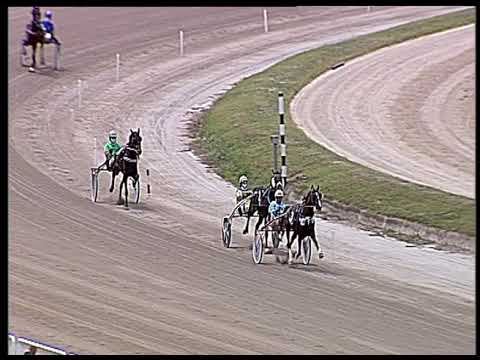 Trotto 13/06/2020 - 1ª prova di qualifica