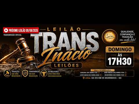 Leilão de Gado em MORRINHOS-GO, 09/08/2026  TransInácio Leilão - 18:00 Hs - Presencial e virtual.