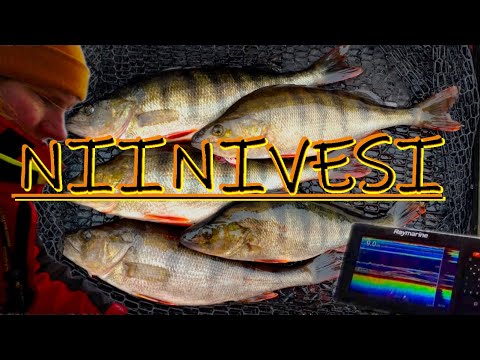 KOVALLA TYÖLLÄ AHVENET KYYTIIN - SEITSEMÄN TUNNIN RUTISTUS 11 MINUUTISSA