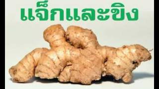 Jack and ginger - We are scientists - คณะ ก.บ.ว.