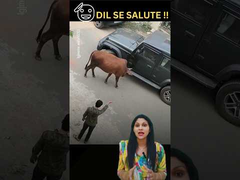 This Rescue Will Restore Your Faith in Humanity#karma#mindsetmatters#gooddeeds