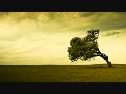 Parka feat. Ana Basel - Momentarily Gone