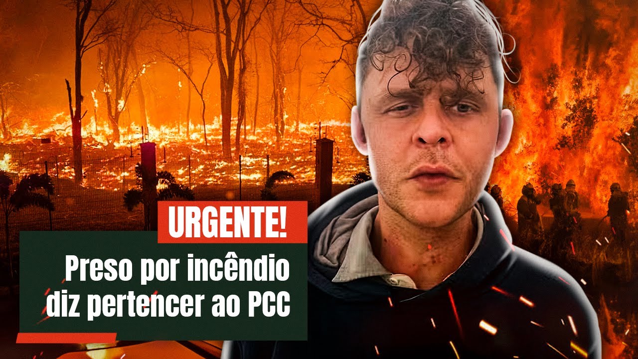 O MOTIVO DAS QUEIMADAS PODE SER PIOR DO QUE IMAGINÁVAMOS
