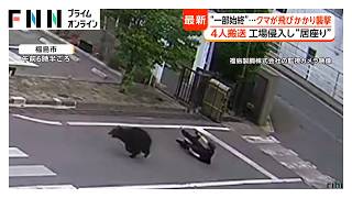 「従業員が襲われた」福島でクマが襲撃4人搬送　工場に侵入し居座り　箱わなやドローンで捕獲作戦　秋田の73歳女性死亡も被害か（2026年06月02日）