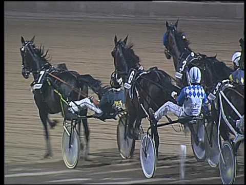 Trotto 04/09/2016 - 5° corsa