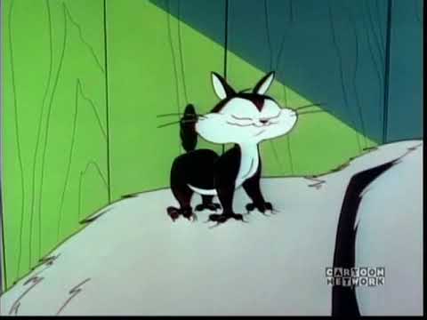 Looney Tunes - kitten becomes dog's best friend