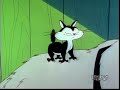 Looney Tunes Kitten Becomes Dog S Best Friend