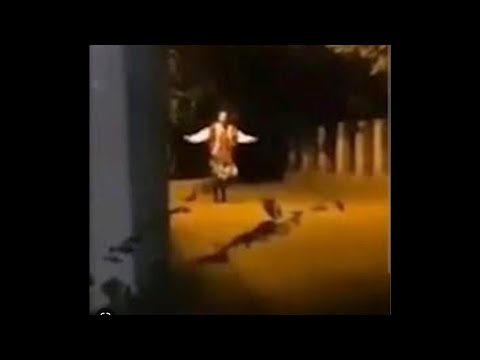 Lante spielt die serbische Dame