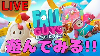 【Fall gyus】今話題のゲームで遊んでみる～
