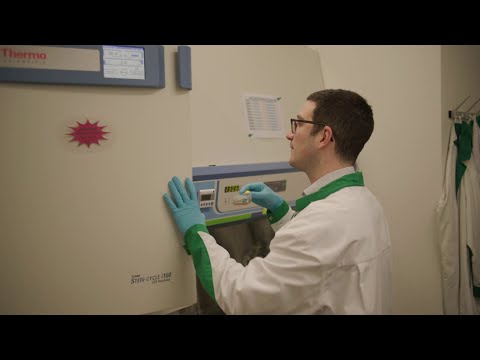 Spark Award 2023 - Enhancing bispecific antibody therapies with healthy donor T cells