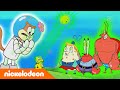 SpongeBob SquarePants Kutukan Nickelodeon Bahasa