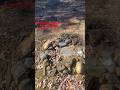 A Bed of Rocks Protects His Head #history #shorts #death