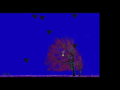 Bird Rush