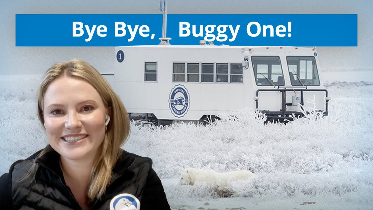 Bye Bye Buggy One | Tundra Connections 2025