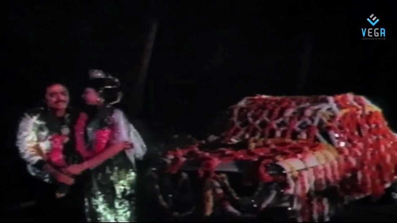 Karpanai Vaanil Neenthi Song Lyrics | Raja Veettu Kannukkutty | S. P. Balasubrahmanyam