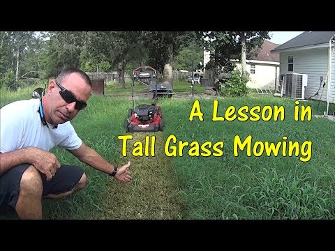 YouTube video about: How to mow the lawn without a mower?