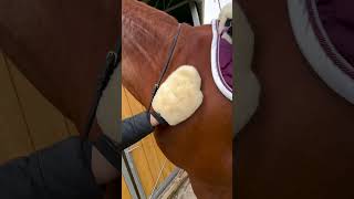 Veterinární rozčesávač a lesk s vůní růží Eliott 500ml