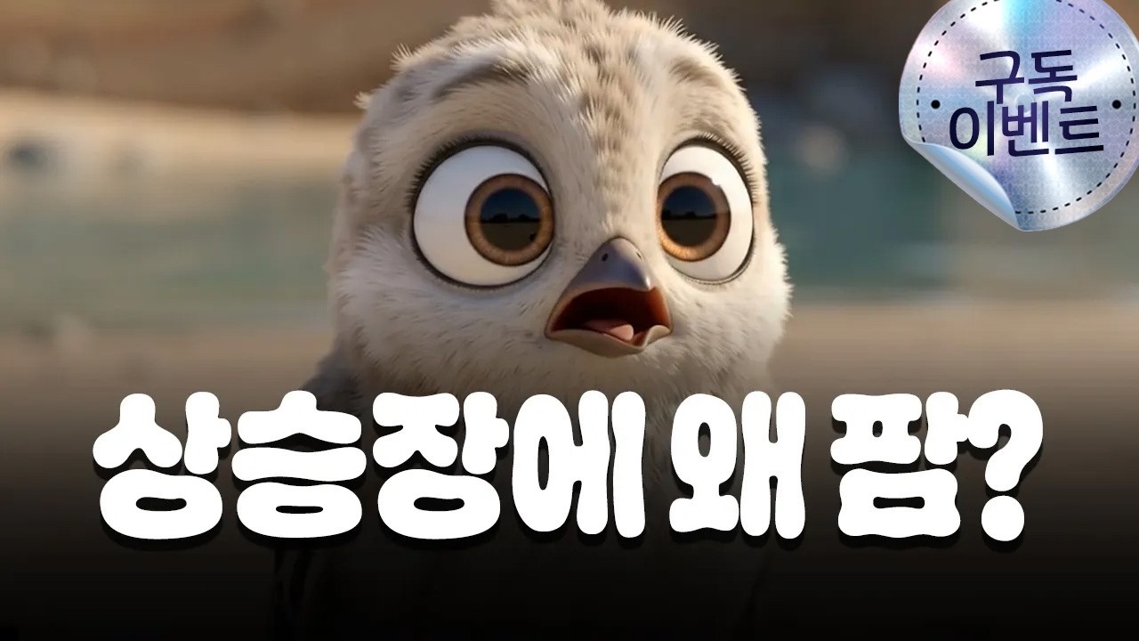 🎁구독 이벤트🎁 상승장에 왜 팜? | 신비한 투자사전 #노벨경제학상 #주식