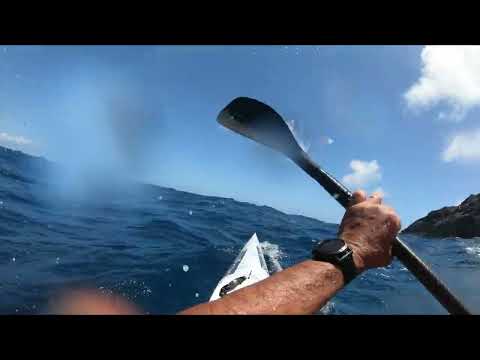 Hawaiian Downwind July 2022