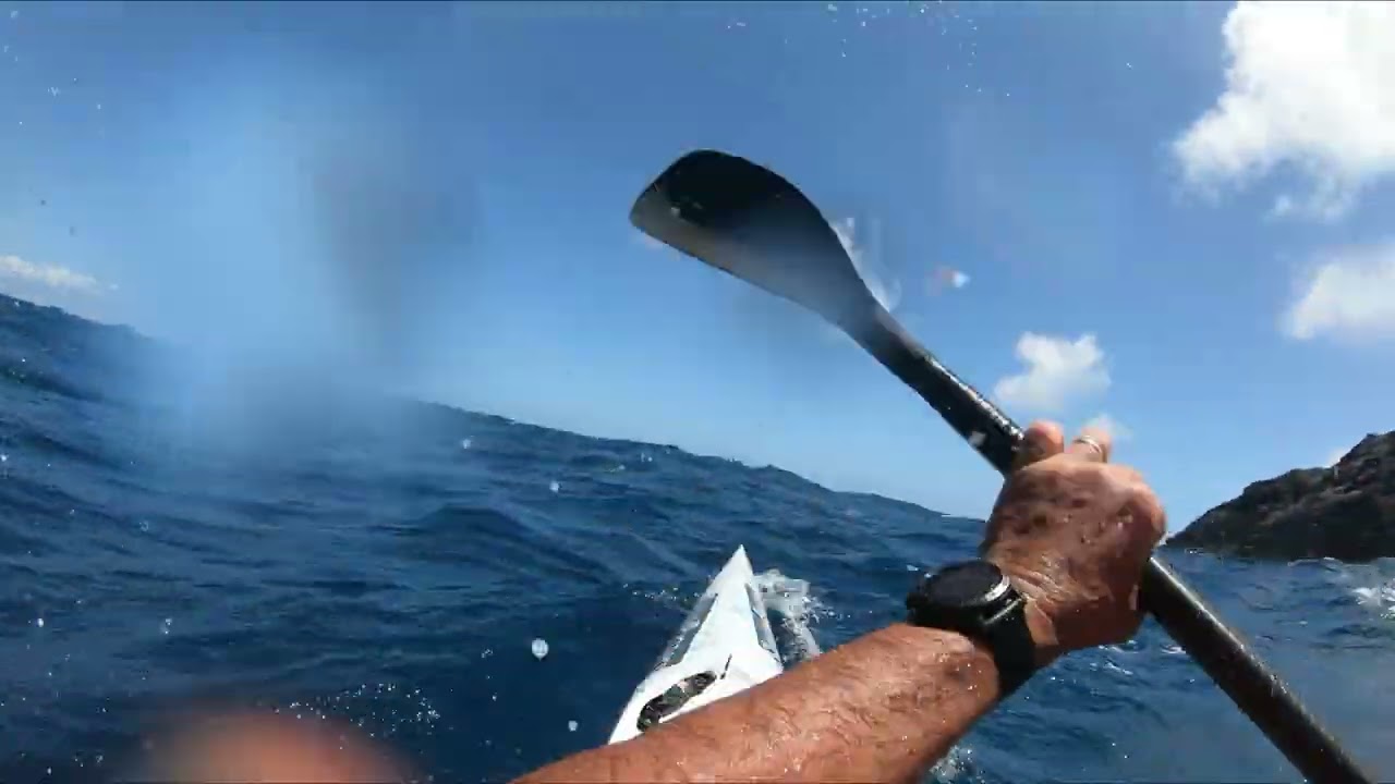 Hawaiian Downwind July 2022