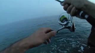 Tide minnow slim 140 duo