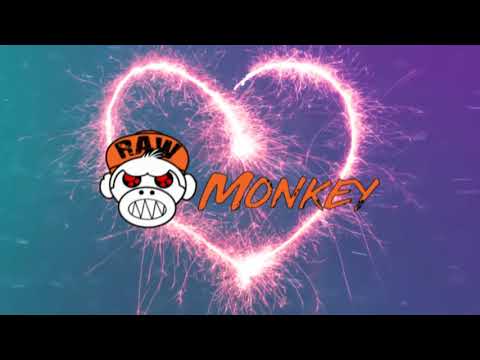 Hostylez - Rebuild my Heart (FRENCHCORE) [MONKEY TEMPO]