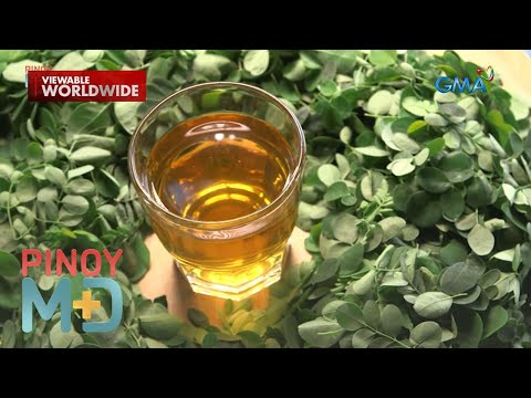 Malunggay, mabisang panlaban sa cancer? | Pinoy MD