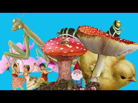 Cosmovision - When The Music Drops