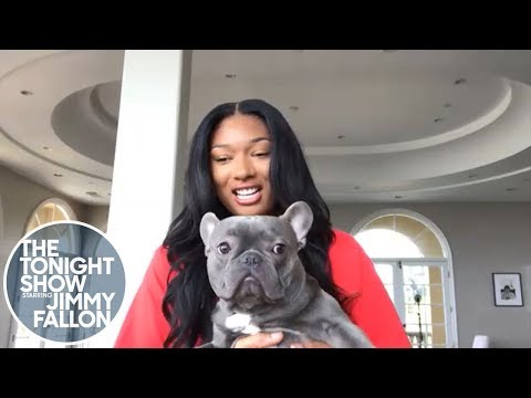 ジャネット・ジャクソンの#SavageChallengeに反応するミーガン・テースタリオン (Megan Thee Stallion Reacts to Janet Jackson's #SavageChallenge)