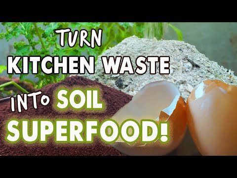 Feed Your Garden Soil