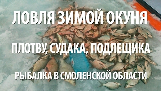 Где хорошая рыбалка в смоленской области