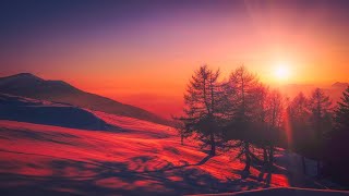 Soothing Relaxation Music | Relaxing Music for Sleeping | Relaxing Music | Relax Music