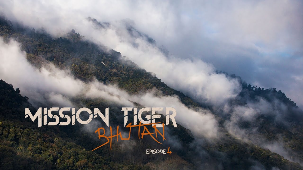 Épisode 4 : Les corridors biologiques #MissionTigerBhutan