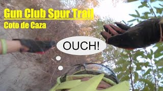 Finding trails off the Bell View Trail