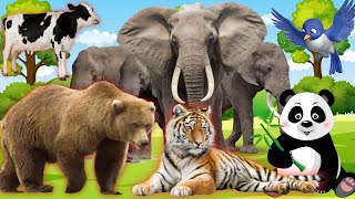 Animal Sounds | Lives of animals: Dog, Cat, Lion, Elephant, Tiger, Duck, Monkey, Cow