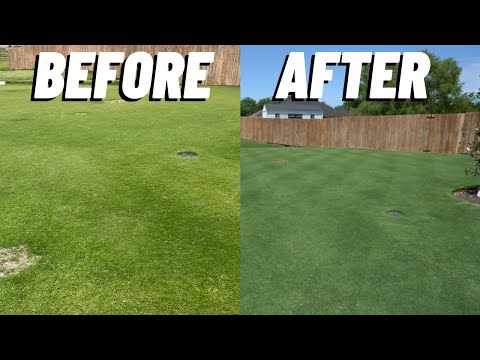 AMAZING RESULTS with Deep Green 24-0-11 from The Andersons