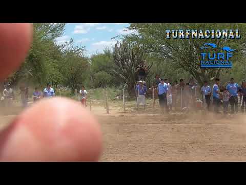 LA FLACA - PISTA PANGARE DE CRUZ DEL EJE / 9-12-2018