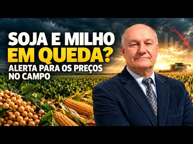 O Que Está Derrubando a Soja e o Milho? Alerta para os Preços no Campo.