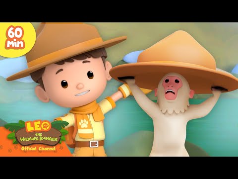 Witness21 Editor  2025 02 22