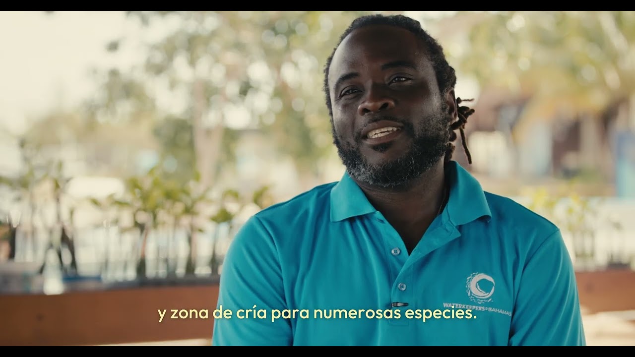 Mangroves, Resilience and Restoration: The Bahamas Protected Areas Fund | CBF NCTF Stories (Spanish)