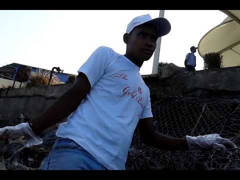 daman nad diu goald beach resort