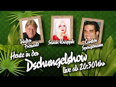 Die große BILD-Dschungelshow im Live-Stream - 15.01.2016 ( Knappik, Freiwald, Spengemann )