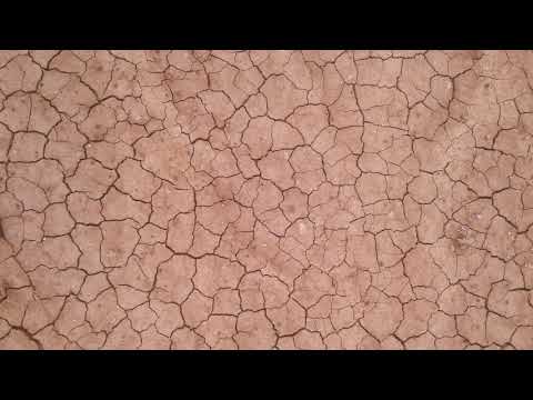 Gobi Desert Collective - Kamar