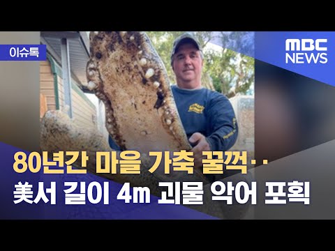 아이콘