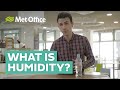 What Is Humidity