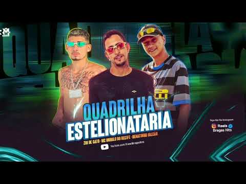 🔵 ZOI DE GATO, MC MURILO DO RECIFE & MC RENATINHO FALCÃO - QUADRILHA ESTELIONATARIA - (BNB NO BEAT)