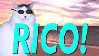 HAPPY BIRTHDAY RICO! - EPIC CAT Happy Birthday Song