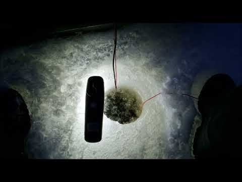 Madepilkillä 2023 mateen käsittely