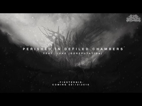 BEGGING FOR INCEST - PERISHED IN DEFILED CHAMBERS (FT. LUKEN GOREPUTATION) [SINGLE] (2016) SW EXCL