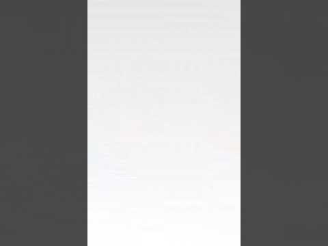 8/31/18: Simon's cat pop time part 57